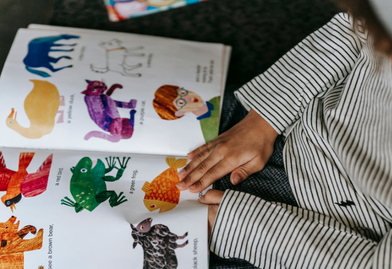 Child reading a picture book about animals and colors