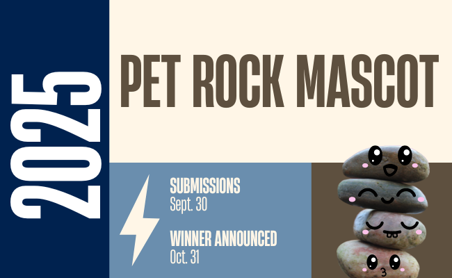 Pet Rock Mascot